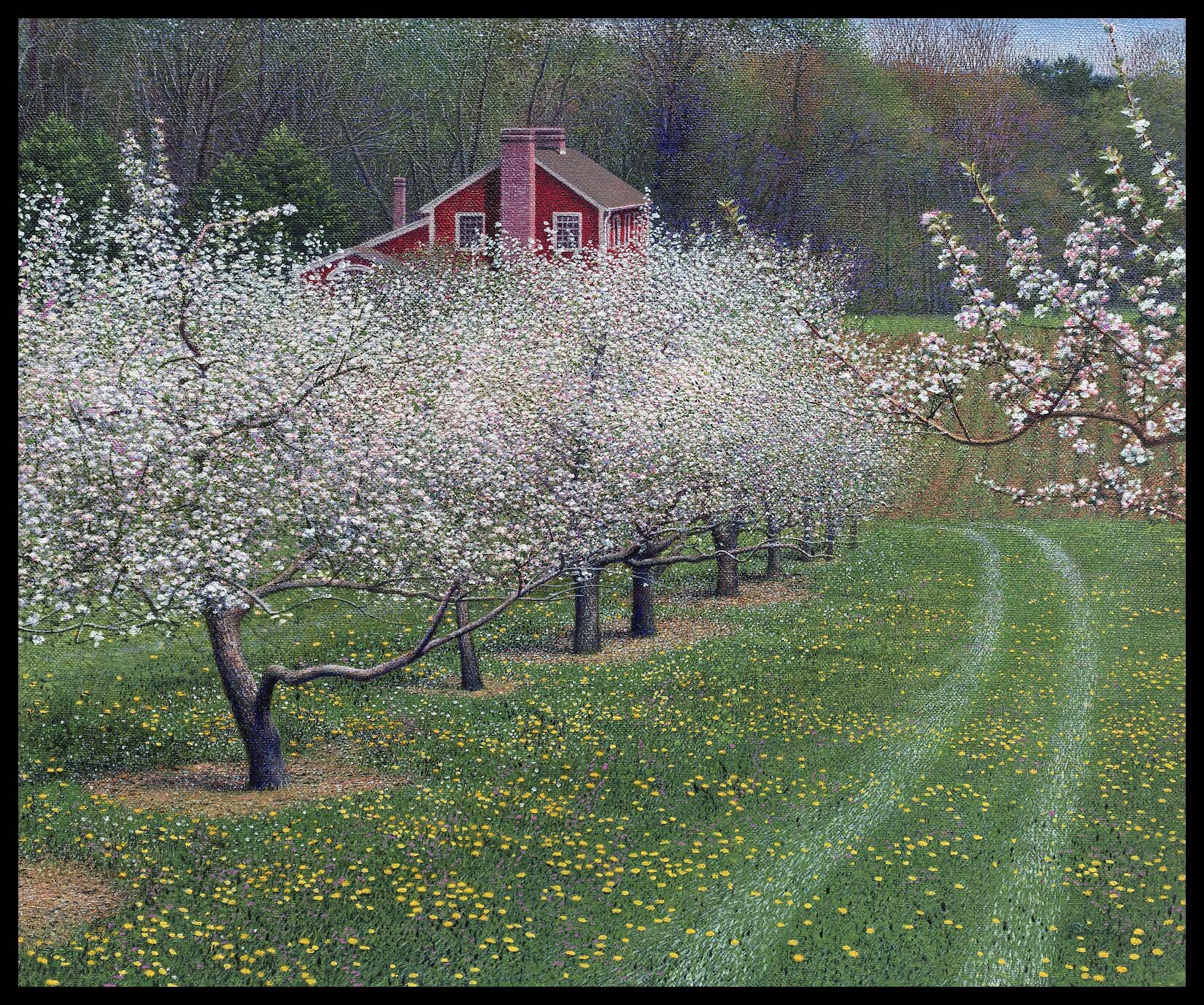  Farm House with Apple Orchard in Spring (21”x23”) Oil on Linen 