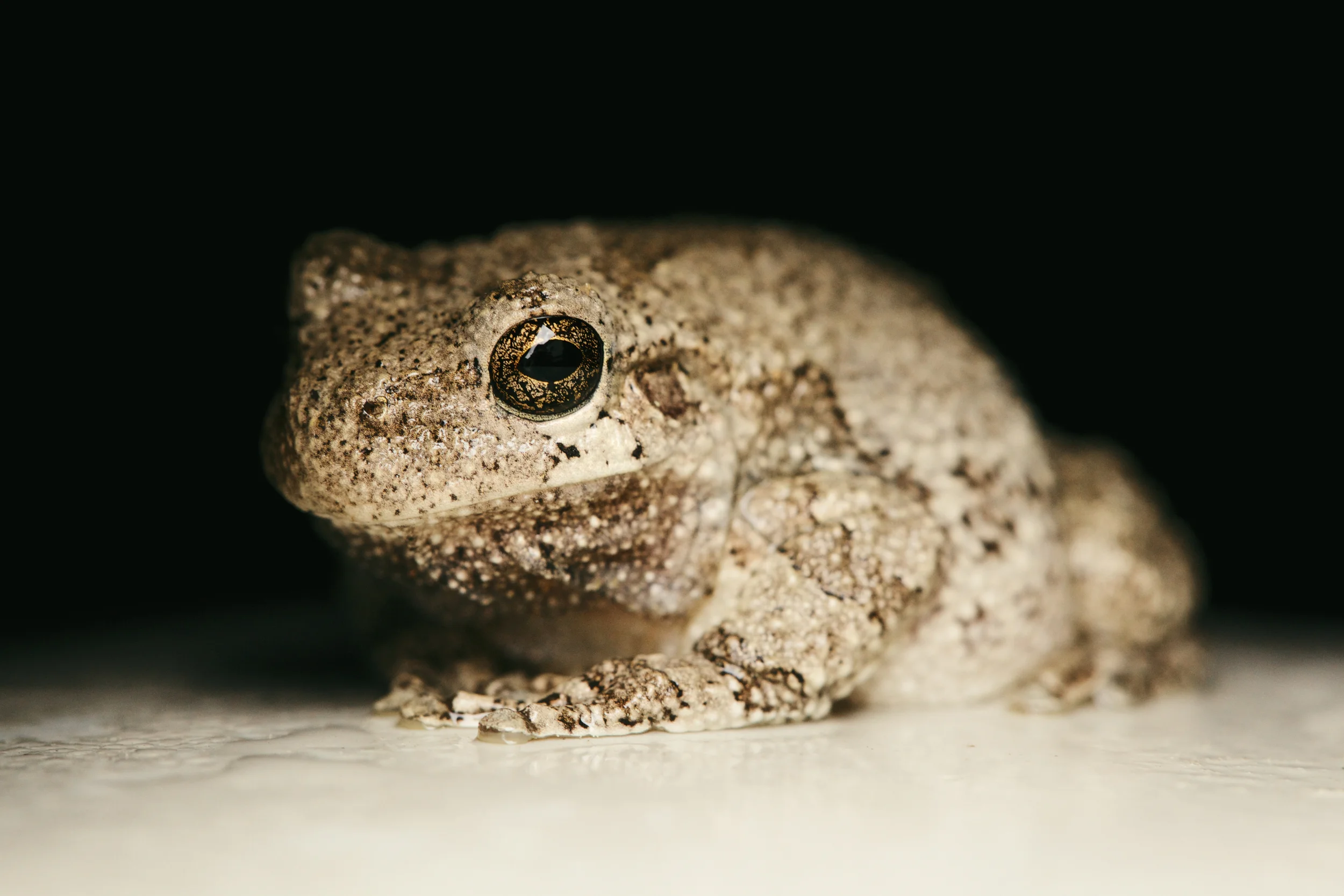 2013-04-30_052.jpg