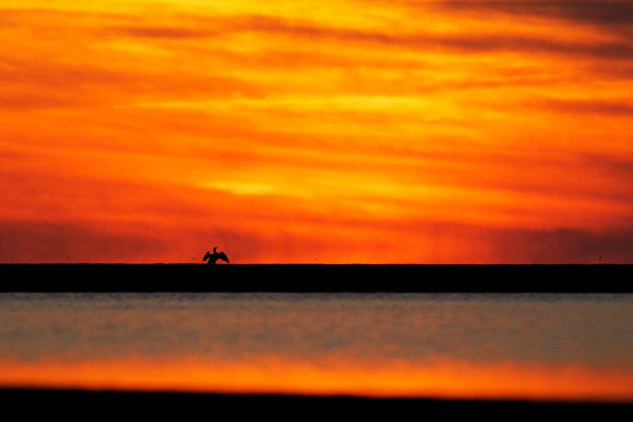 JDG-20140912-1756.jpg