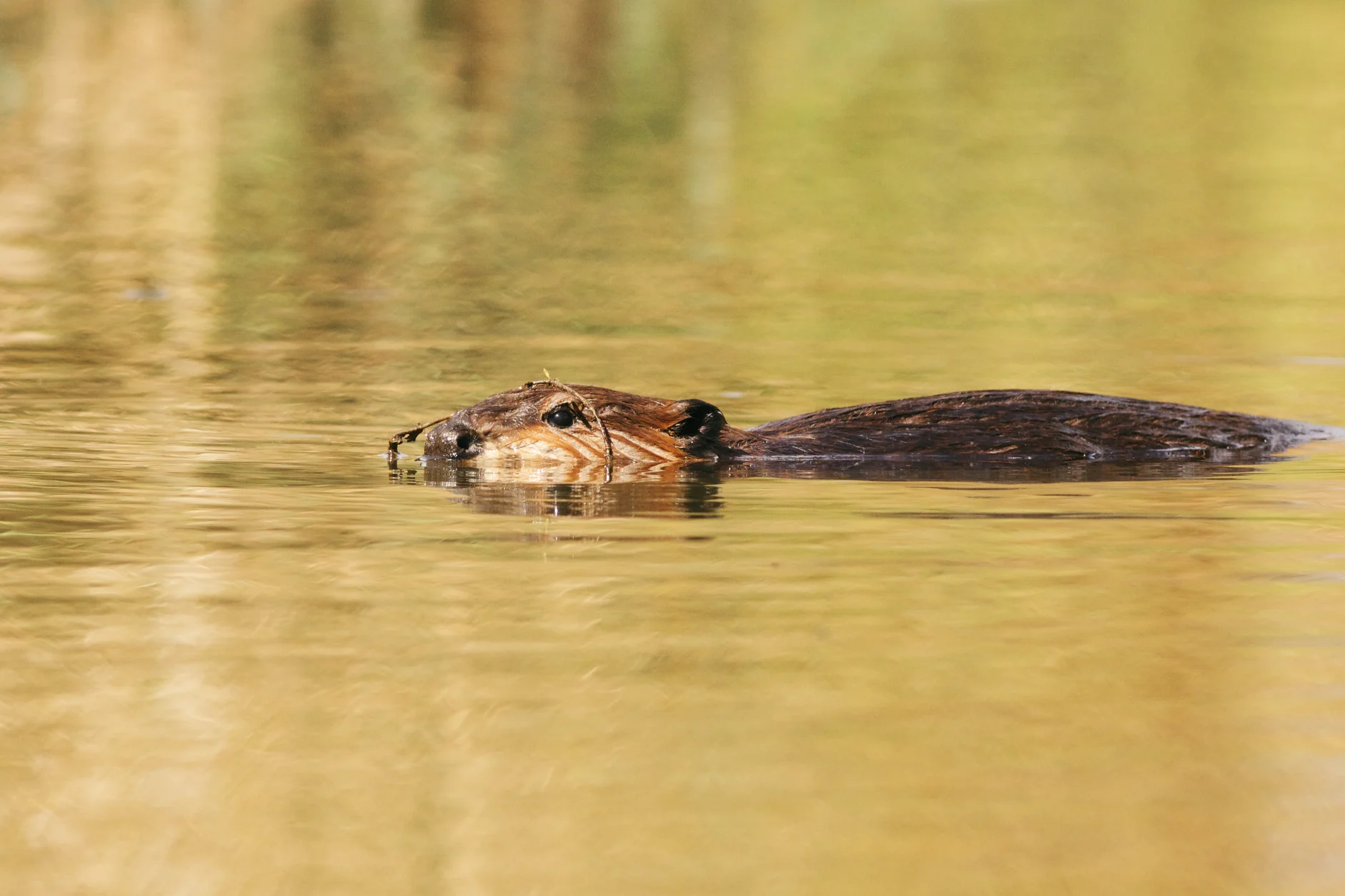 JDG-20140915-180.jpg