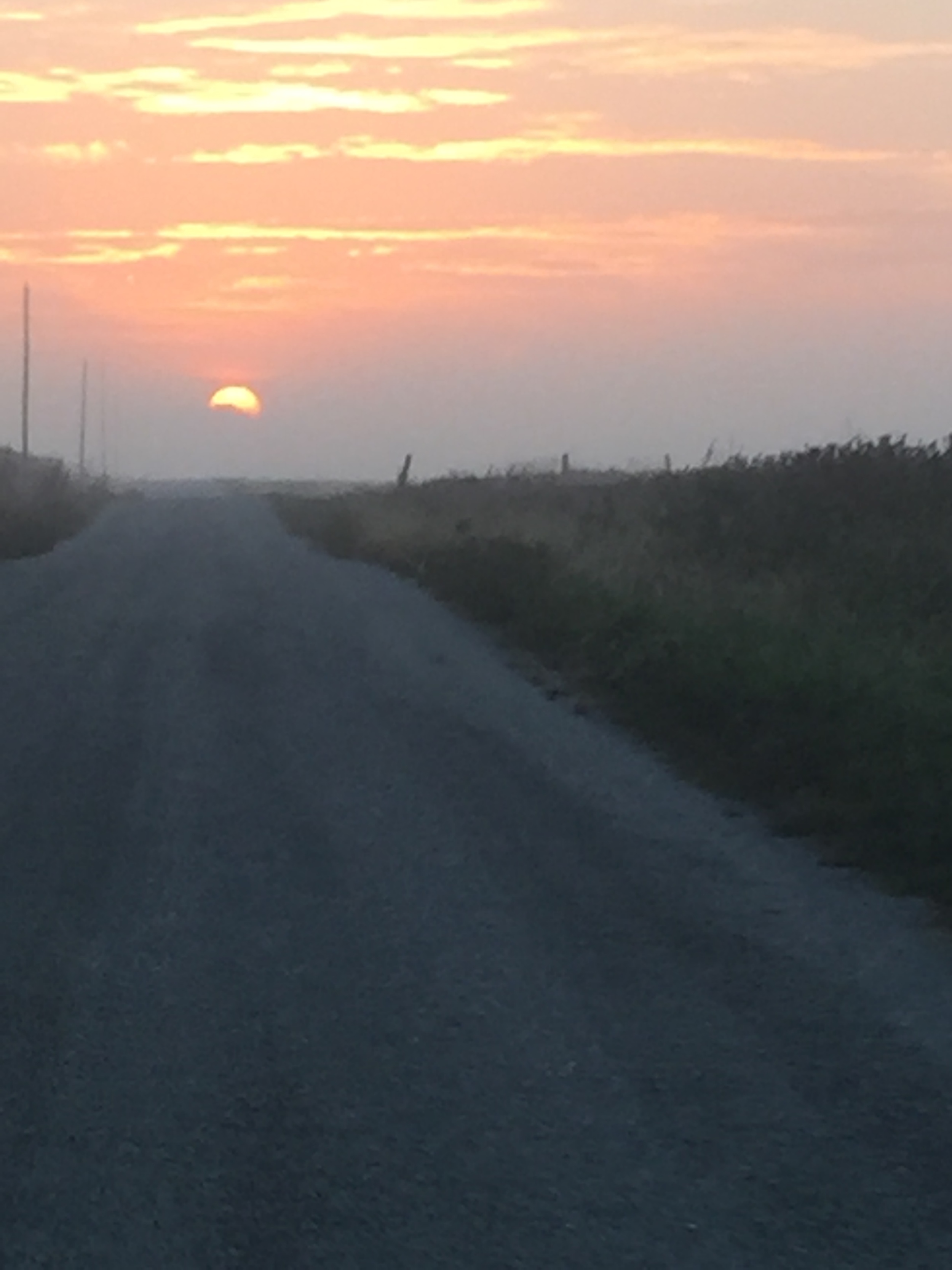 image9.jpeg