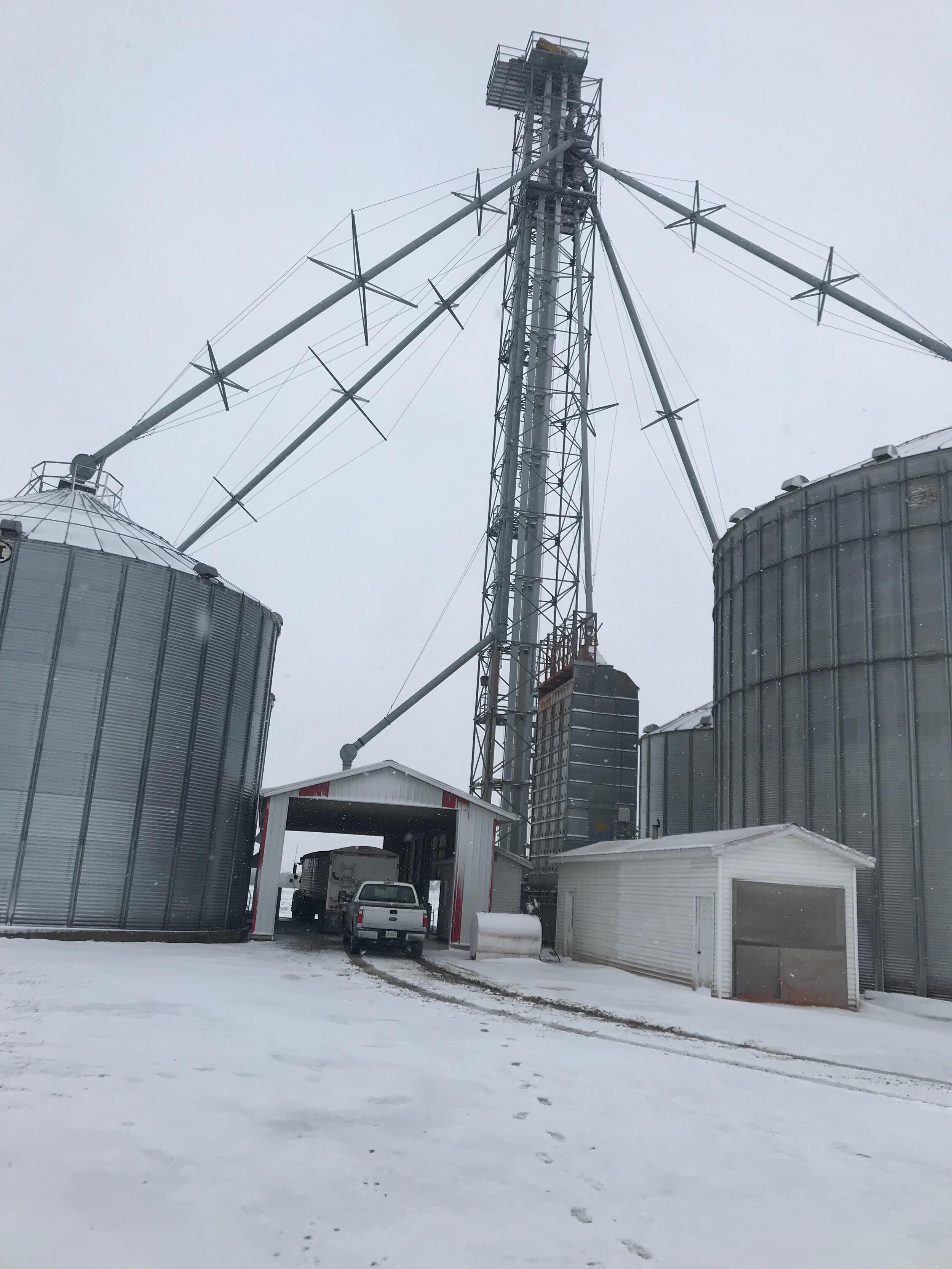 Drying corn in the snowstorm
