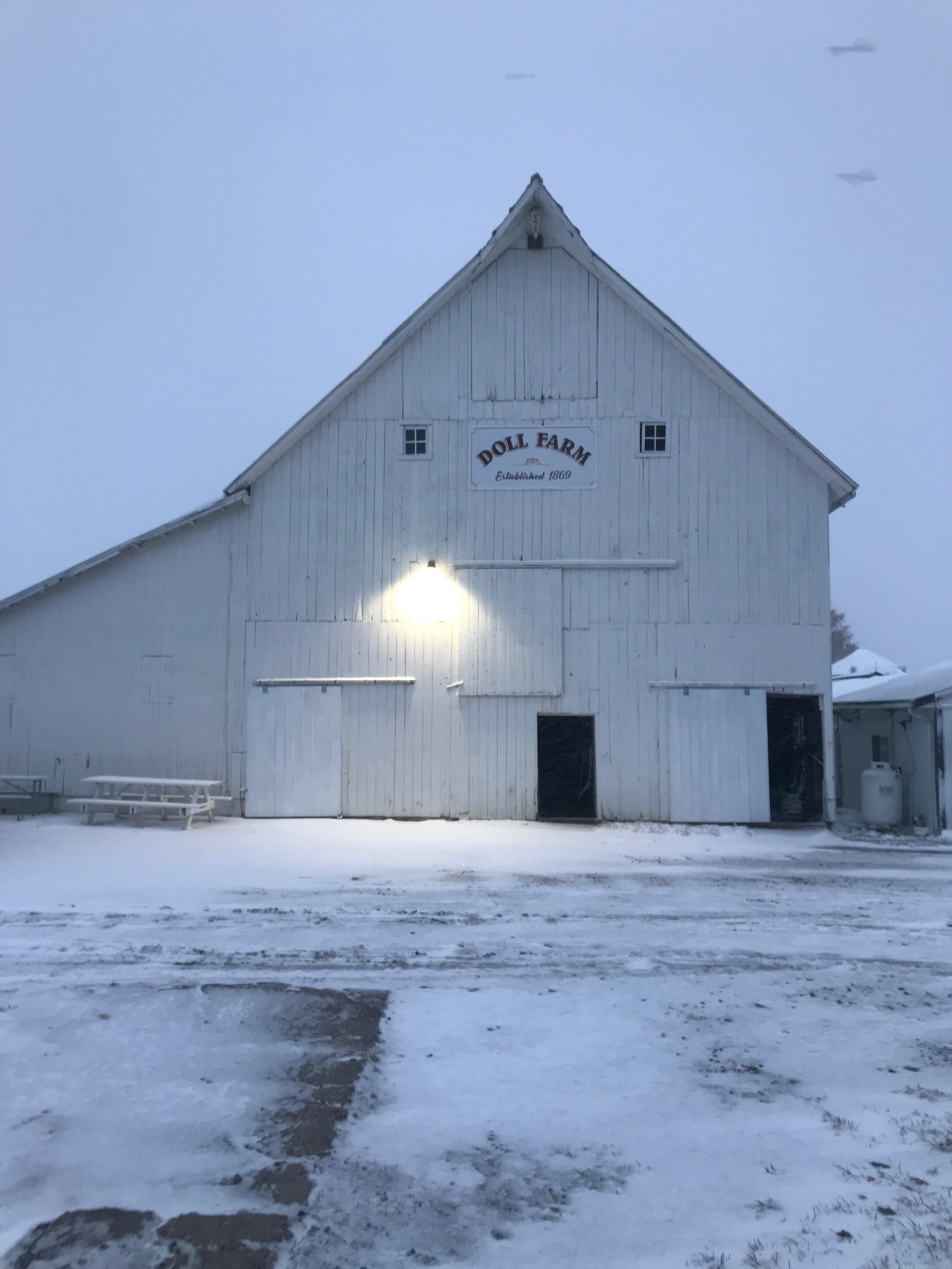 Our 1913 horse barn this morning