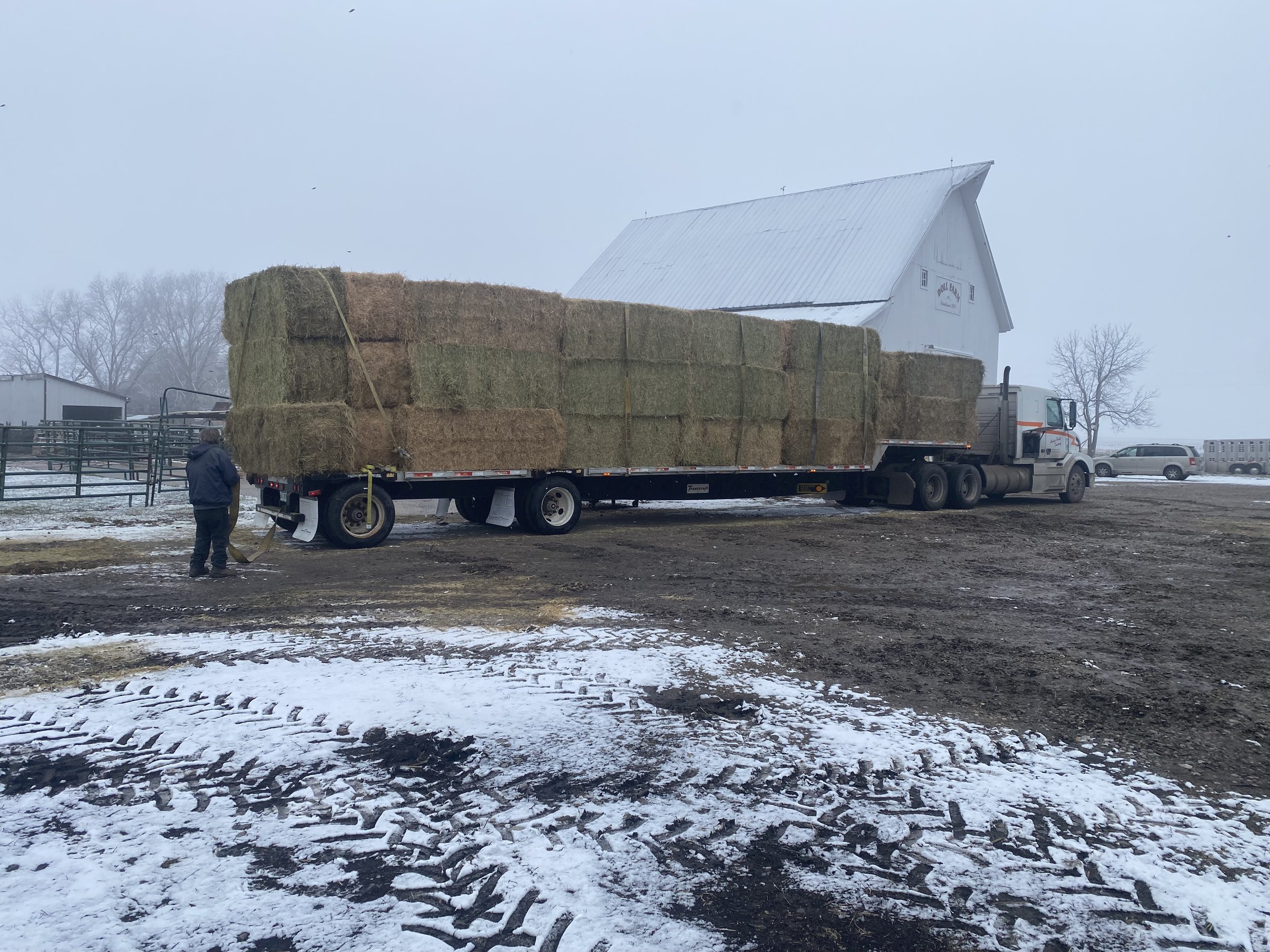 Shipping Hay