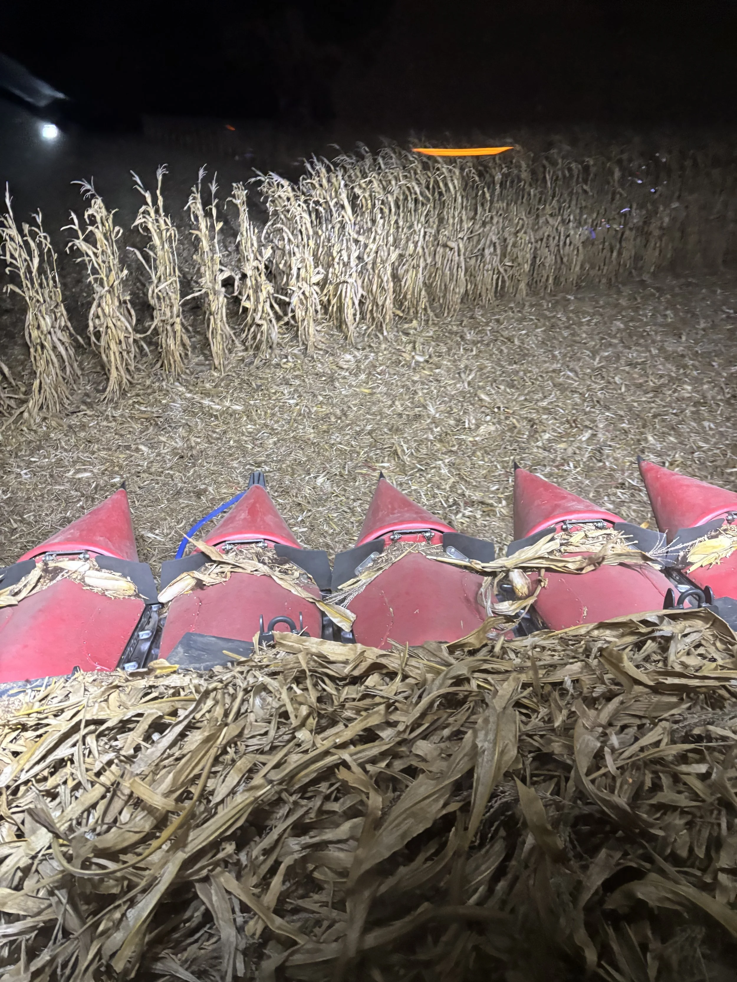 Night Harvest Fulton Co