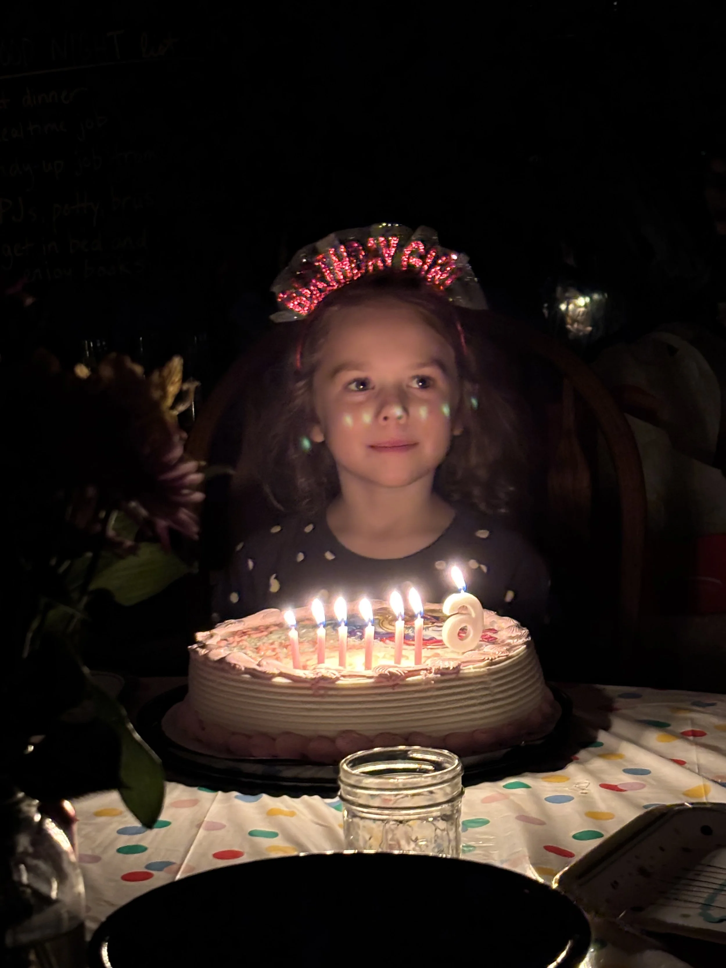 6 Year Old Birthday Girl