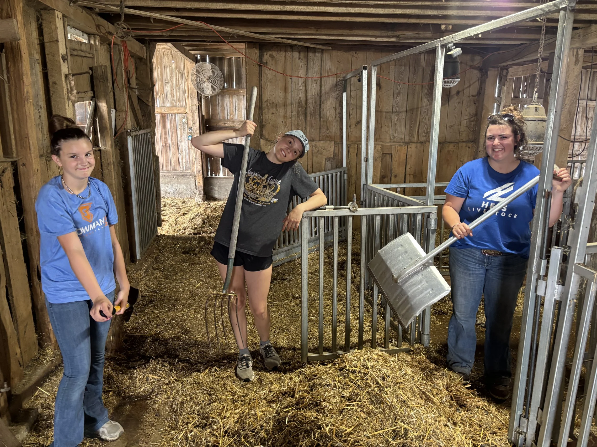 Barn Cleaning Crew