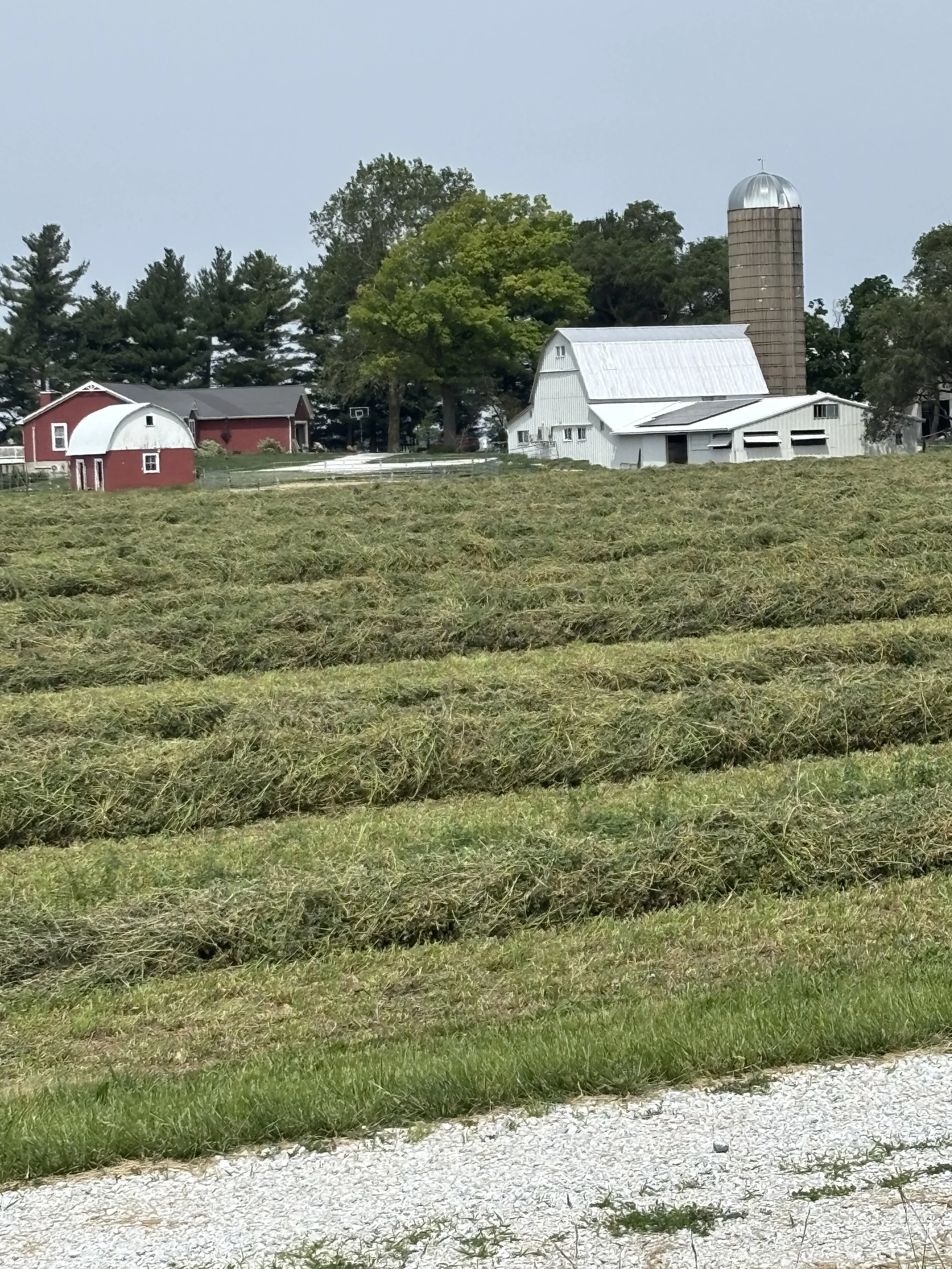 Hayfield