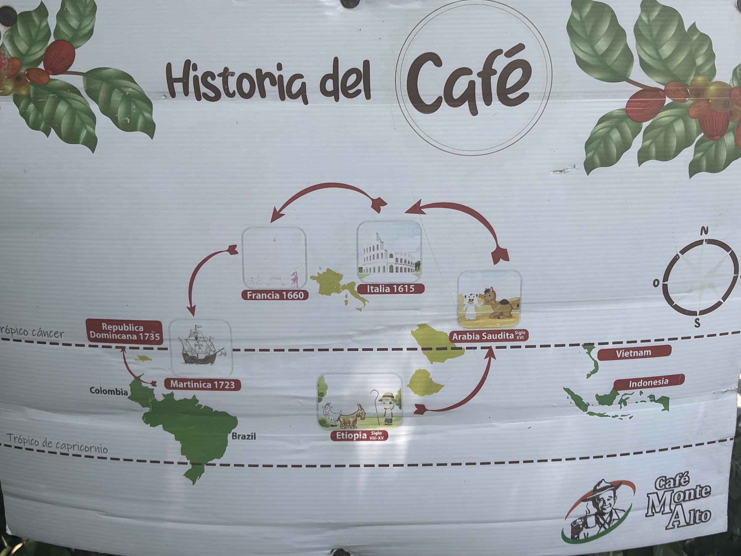 Coffee History