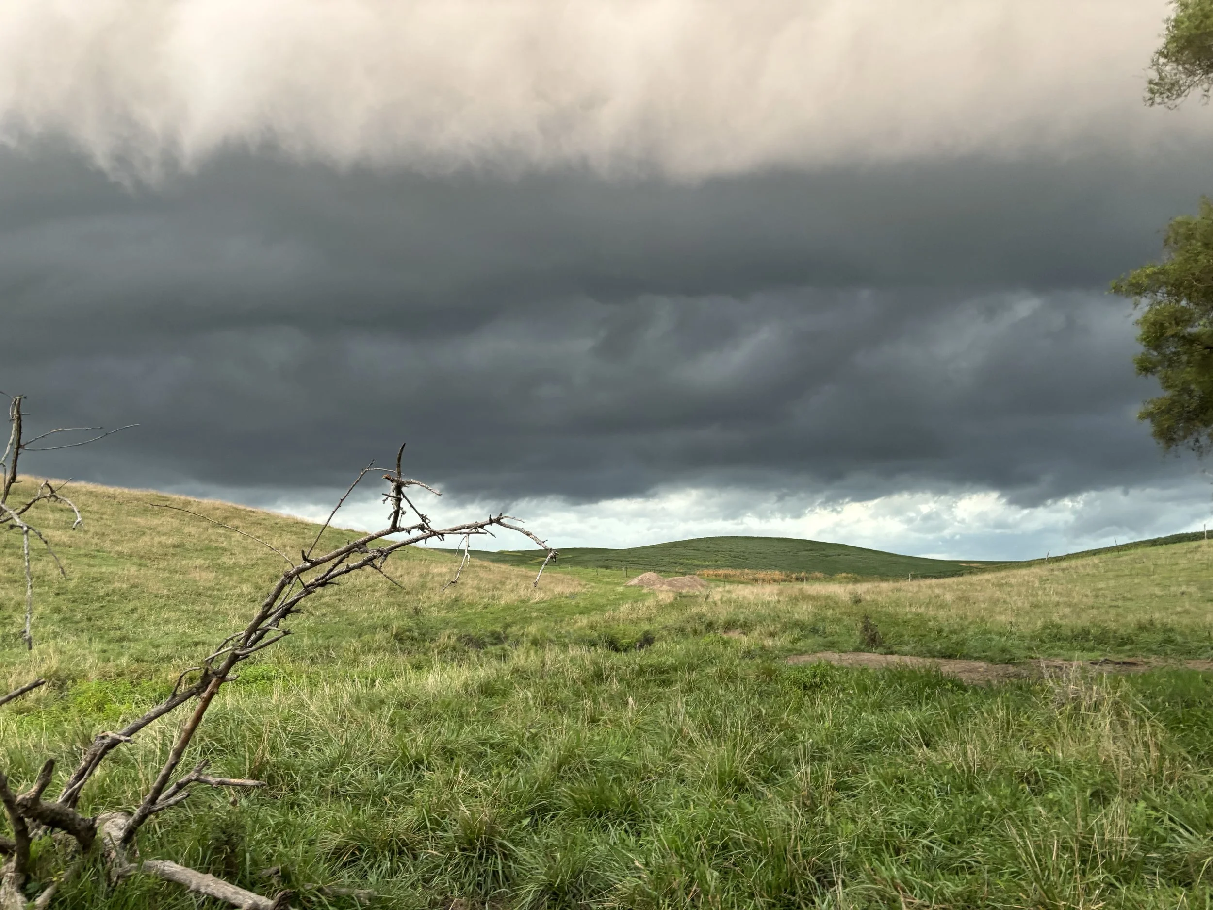 Storm Clouds