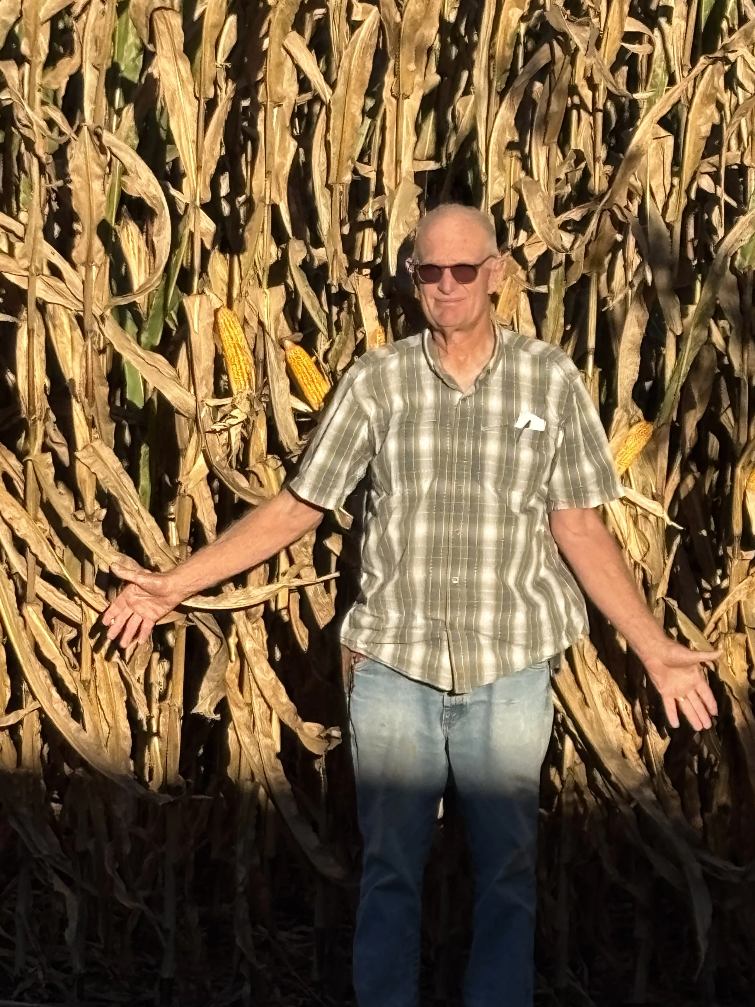 Harvest Ready