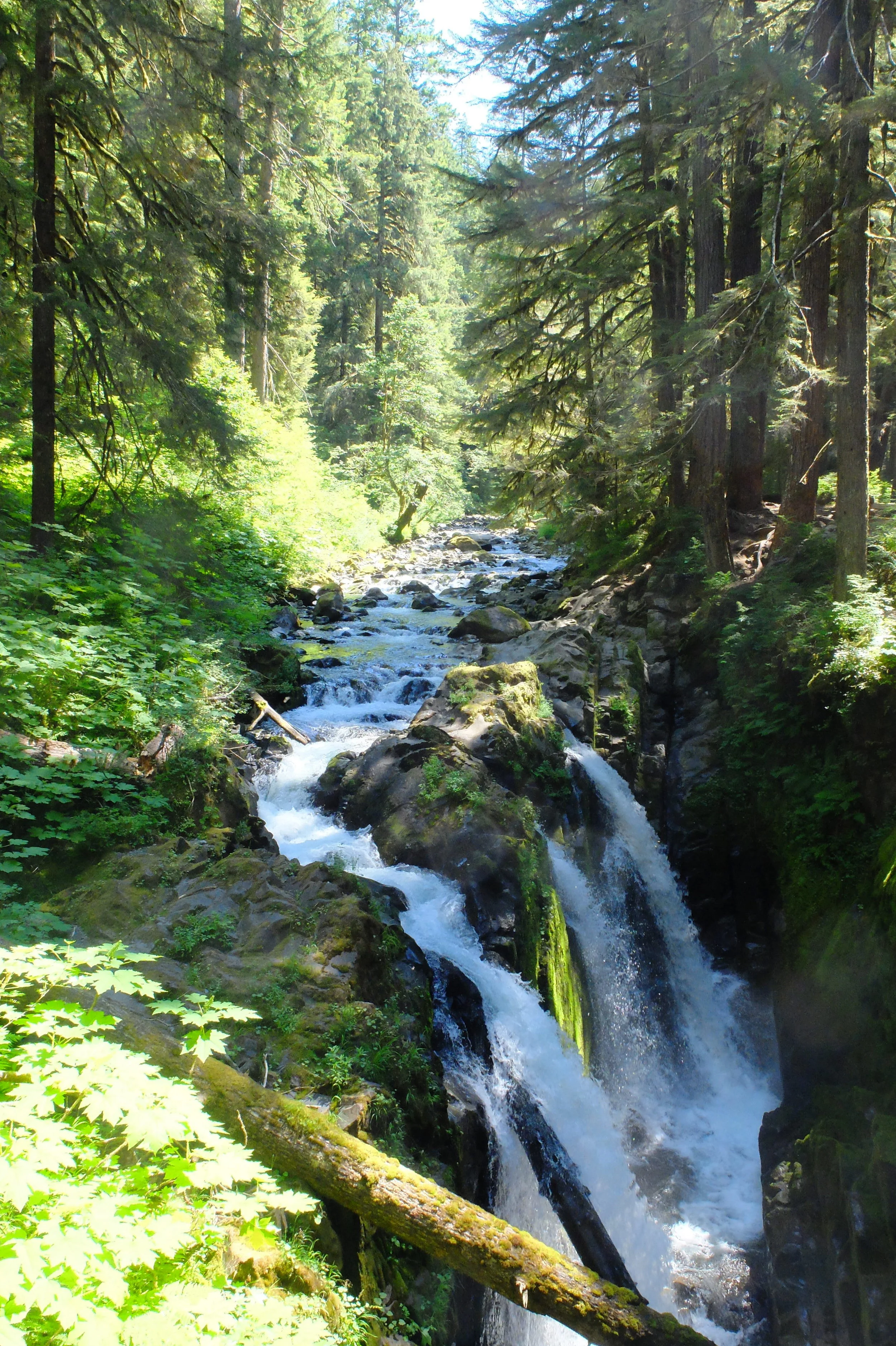 Waterfall, on the way to Deer Lake