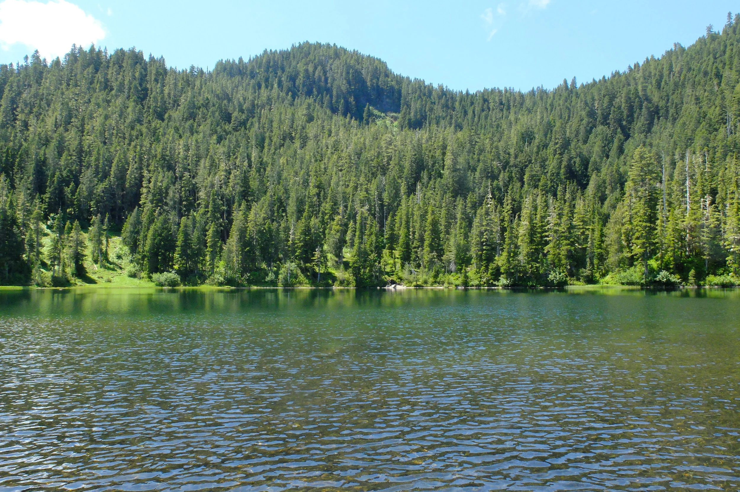 Deer Lake