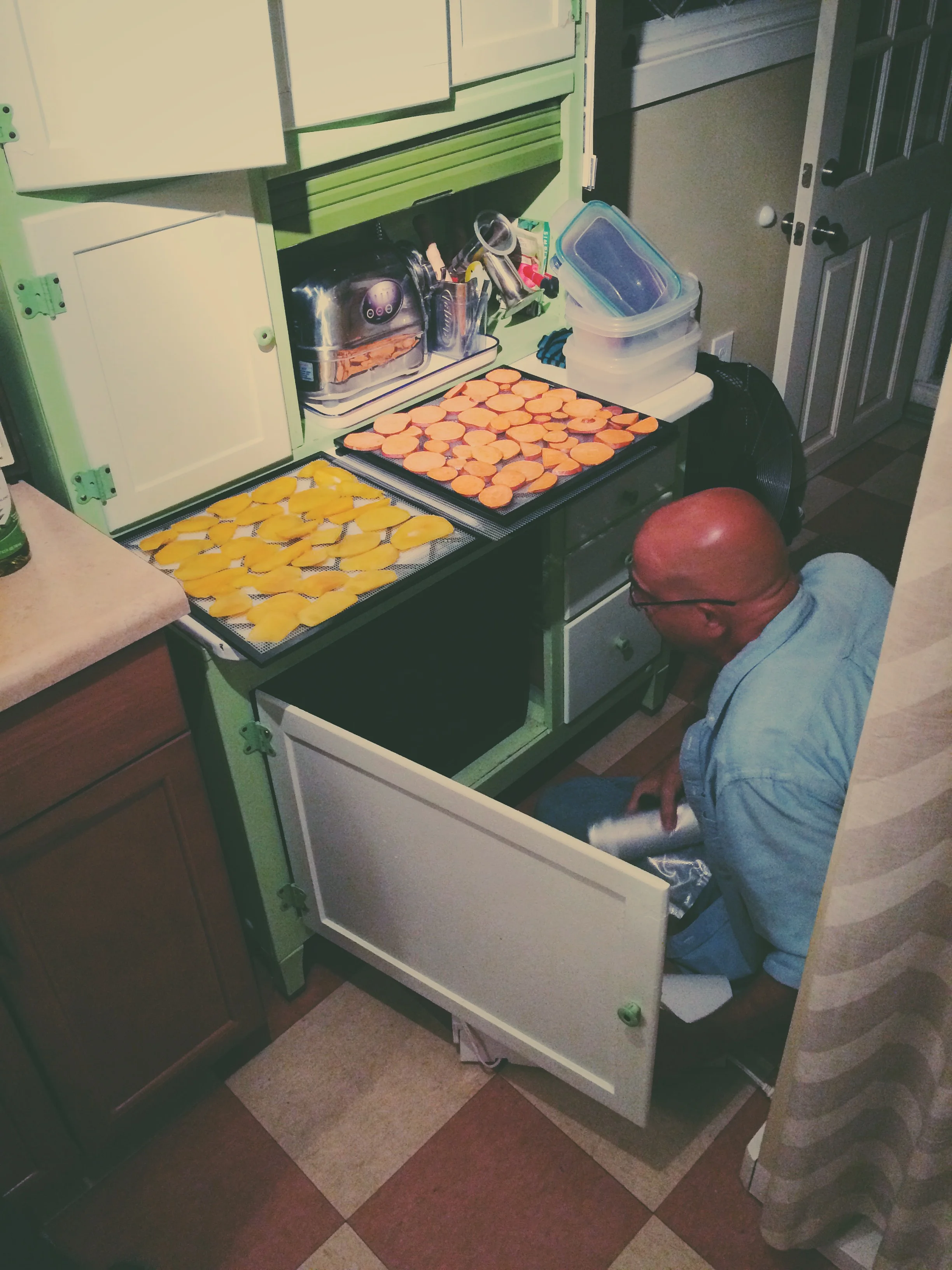 dehydrating the fruits