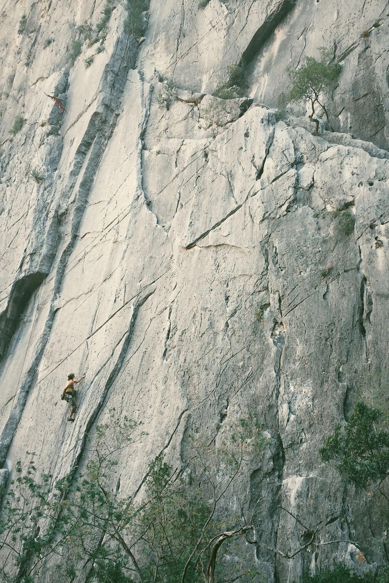Josh climbing at the Virgin Wall