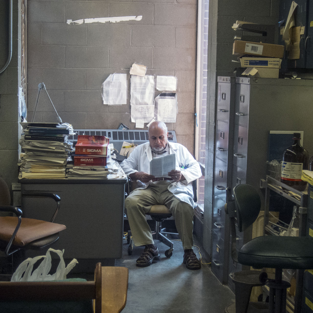 Mahfouz, faithful lab-mate.