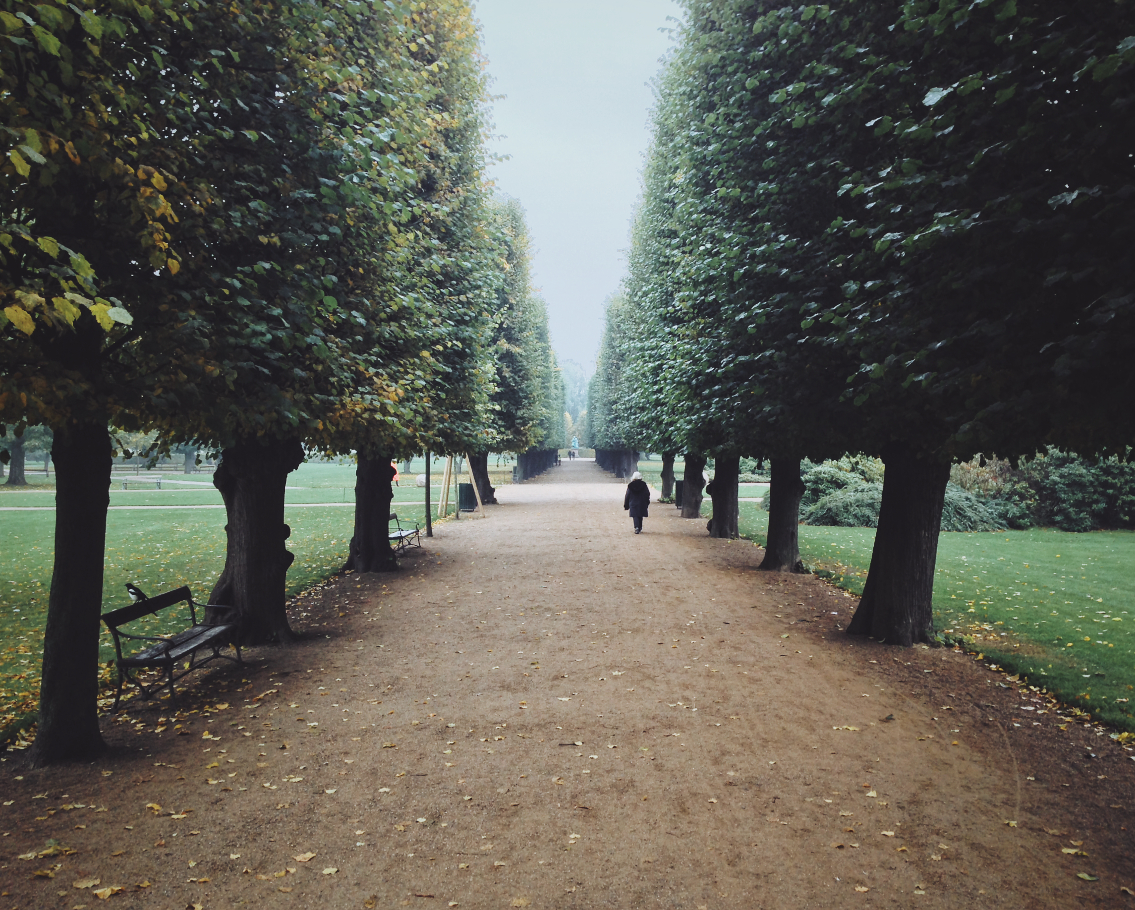 Copenhagen: the castle garden
