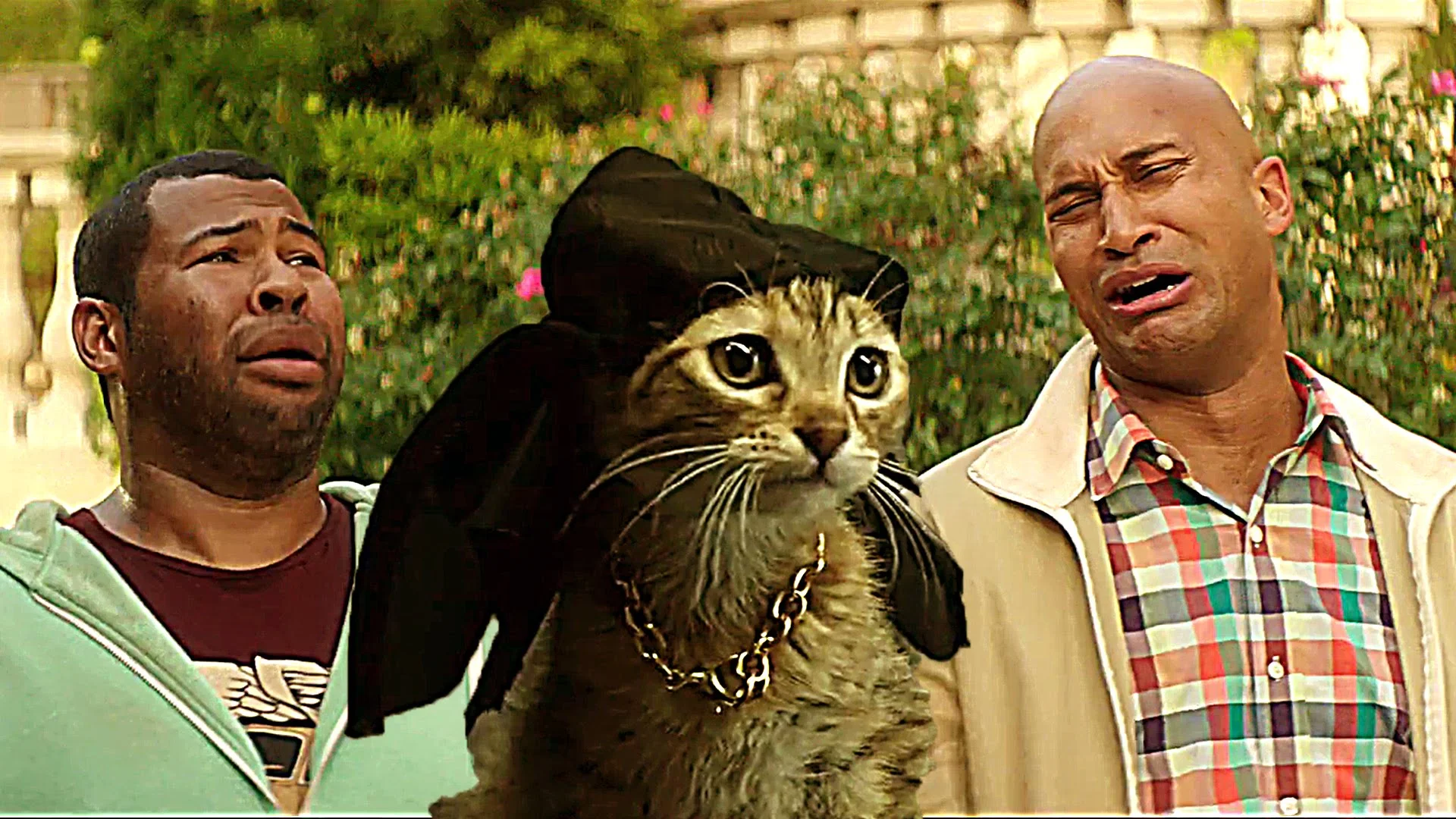 Watch the funny trailer for Keanu