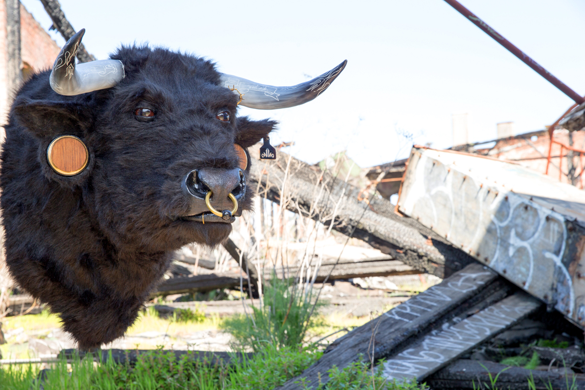 Hardcore Bull