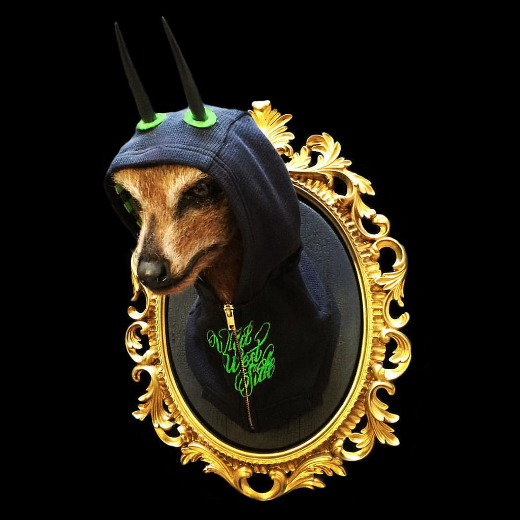 Limitless Steenbok
