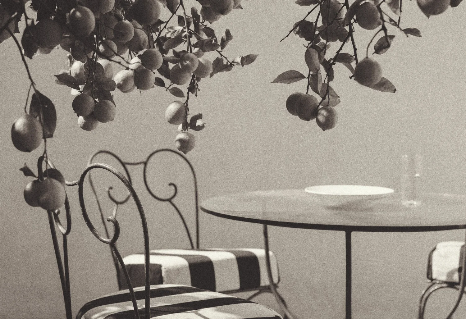 Home — NEUSTADT STUDIO