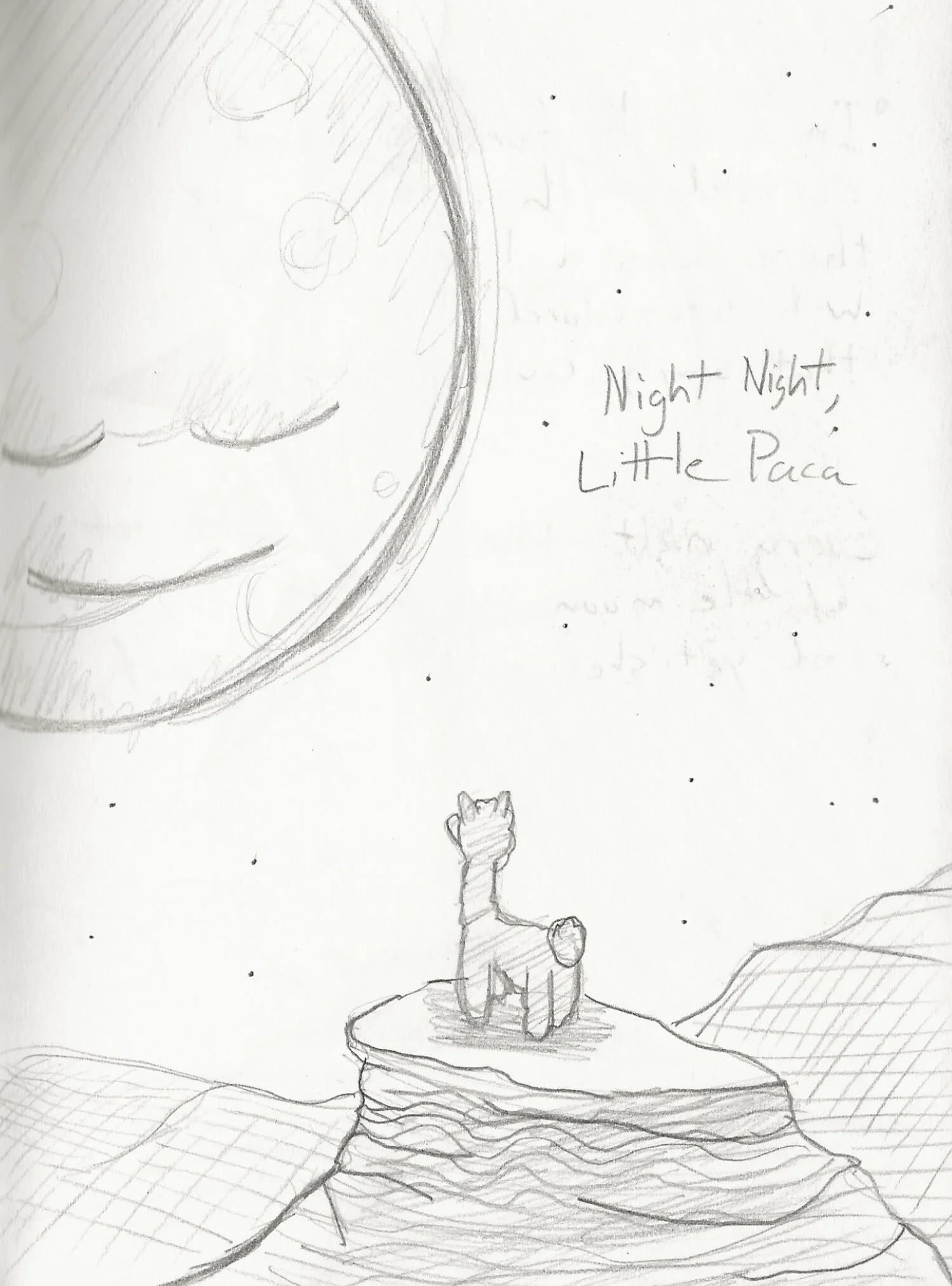 Night Night, Little Paca