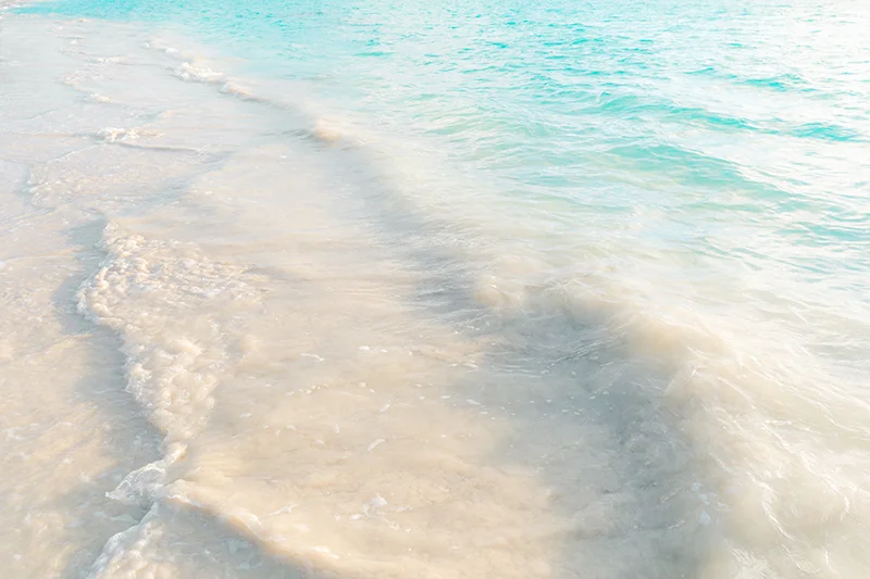 Summer Days Forever_Listing 2-3.jpg