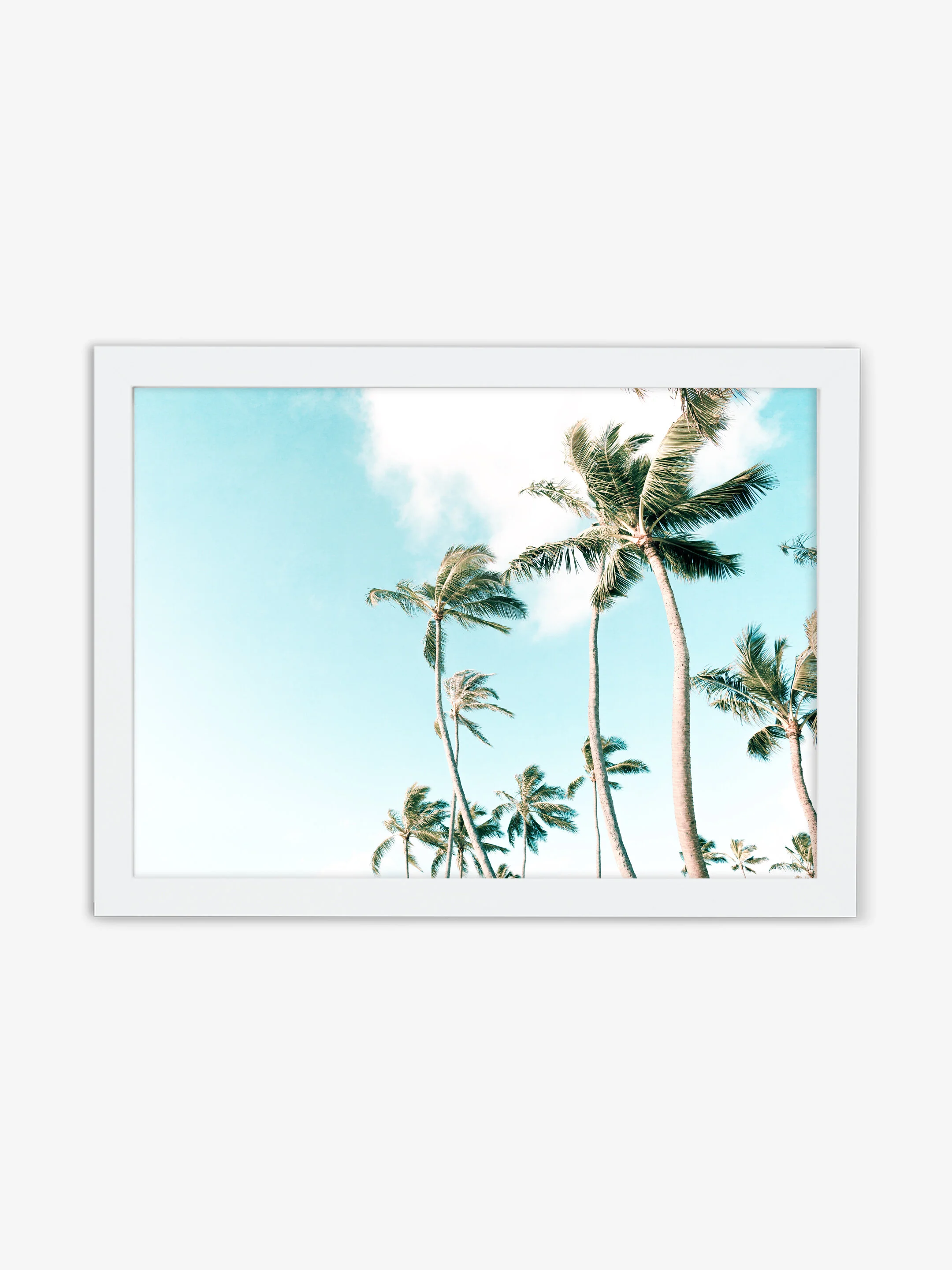 Slice of Paradise