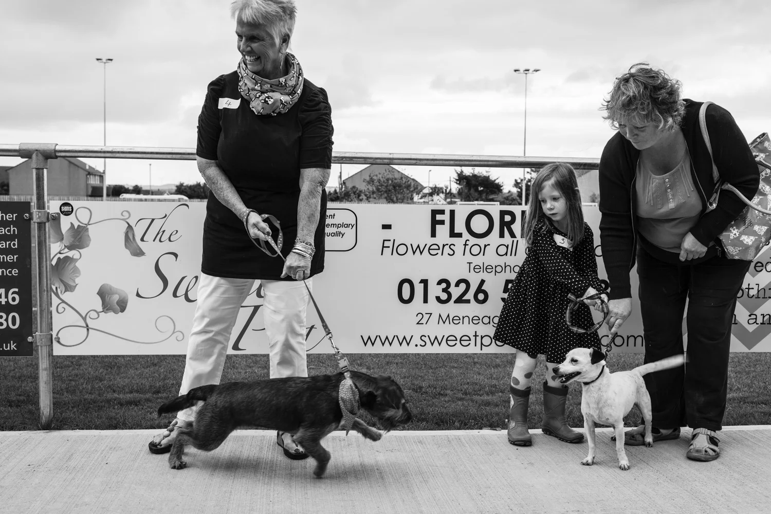 20150905_cwall_helston_harvest_fair_dogshow-30.jpg