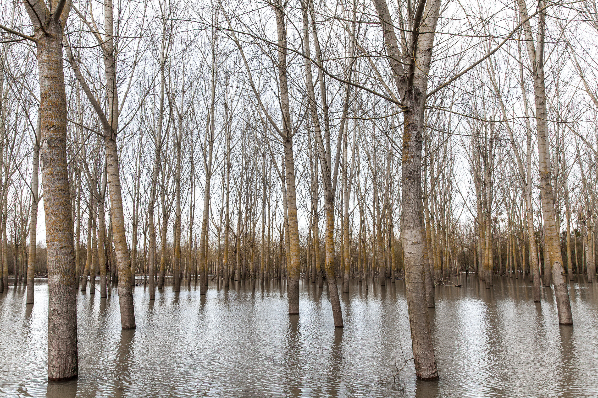 LOIRE