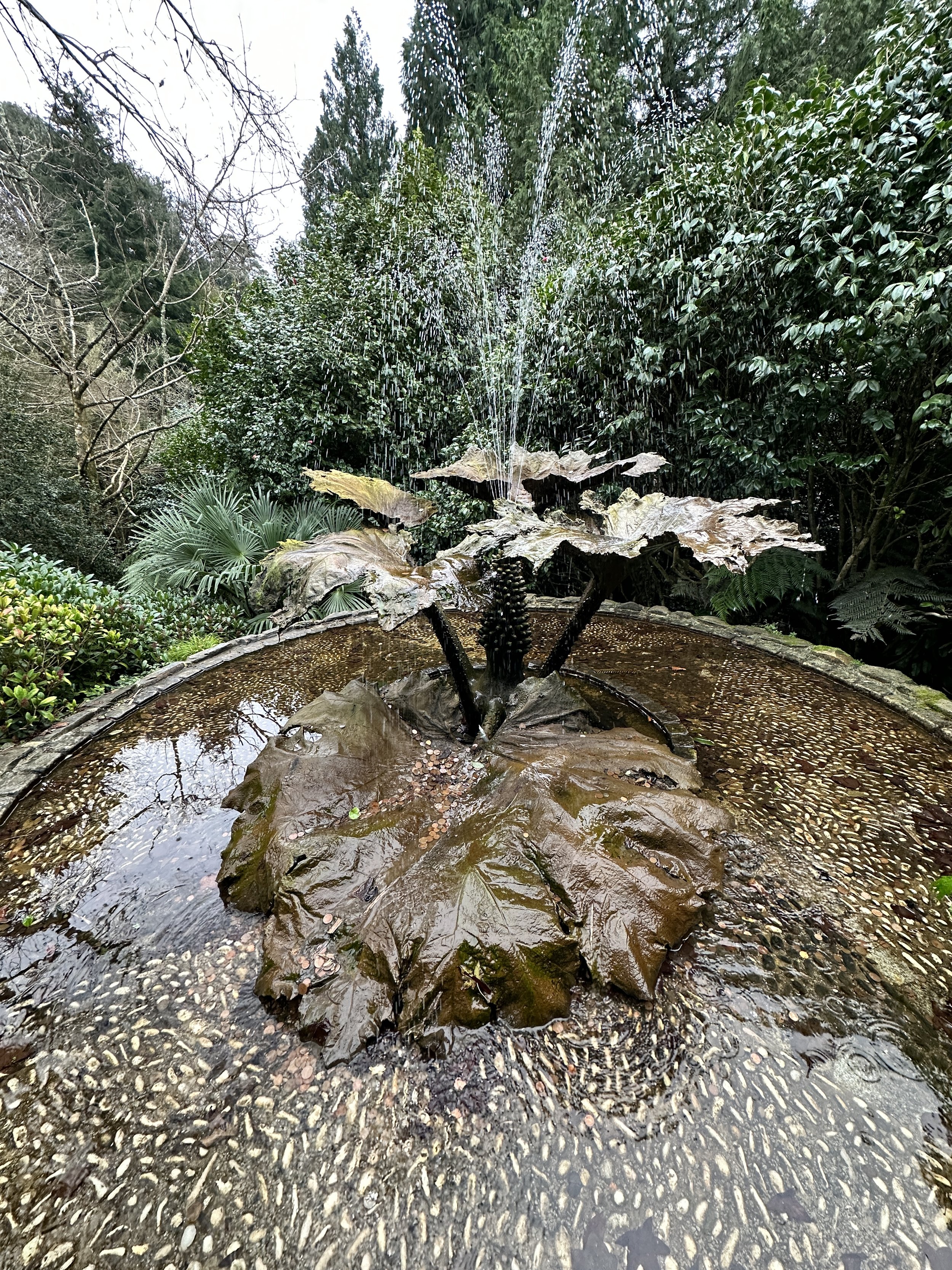 Gunnera sculpture