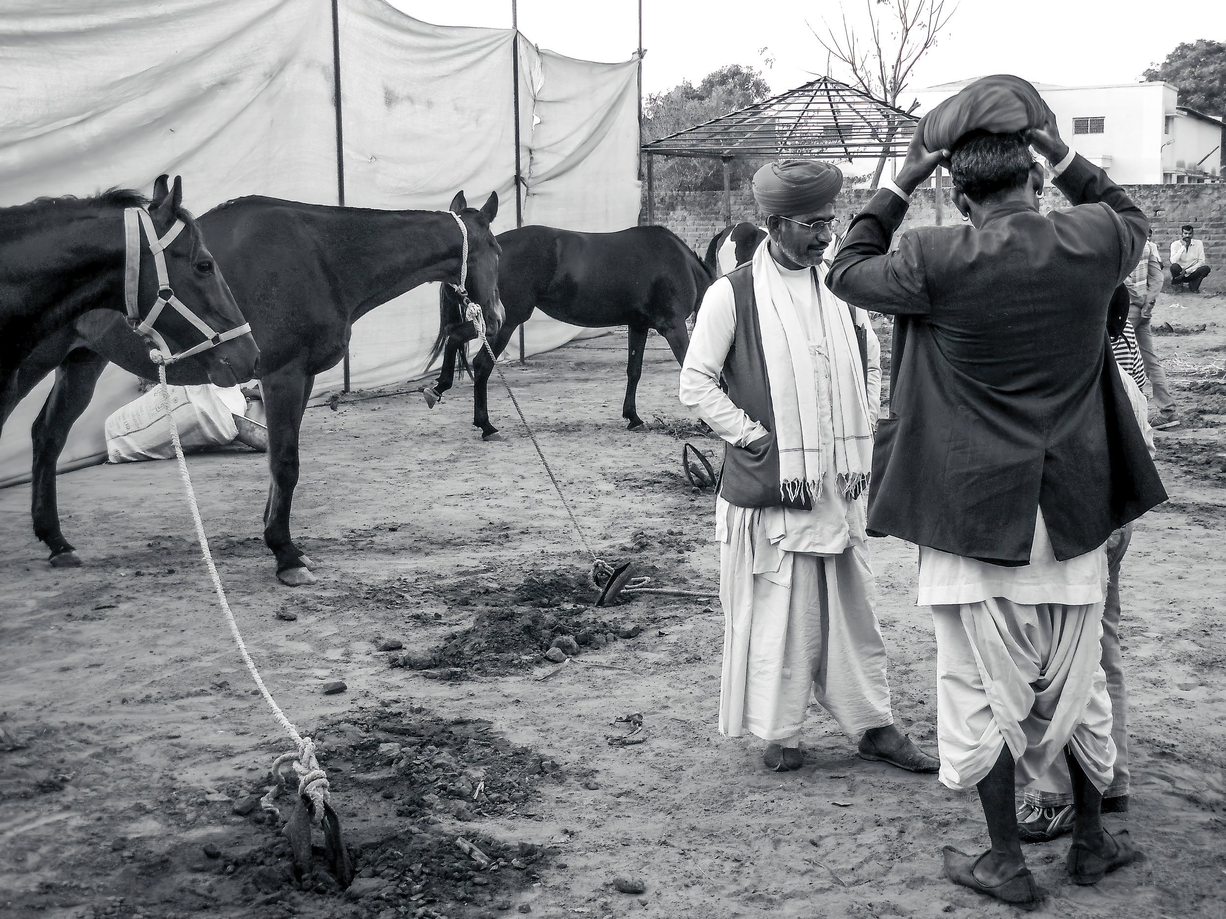 AHMEDABAD EQUESTRIAN CHAMPIONSHIP