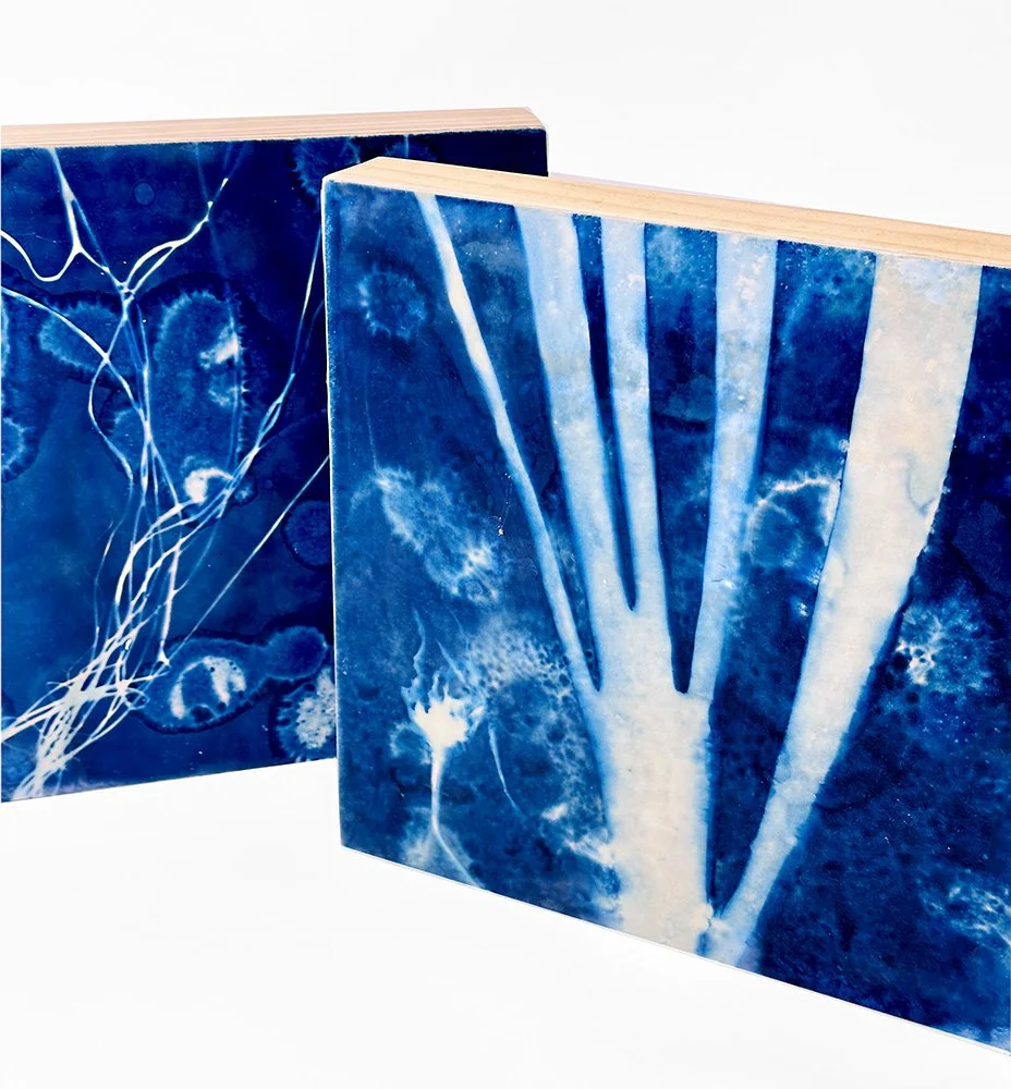 3D encaustic cyanotype on wood panel.jpg