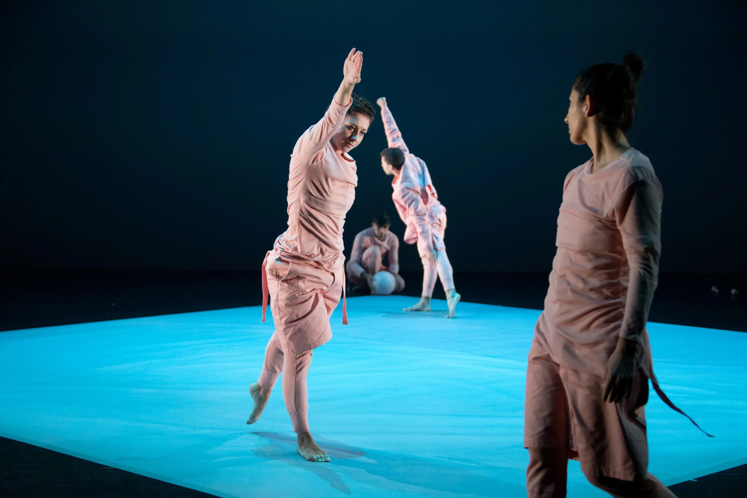 BRISFEST2016 - RULES OF THE GAME hi-res-1224.jpg