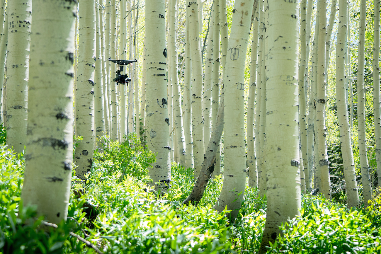 Cablecam in the aspen forrest.jpg