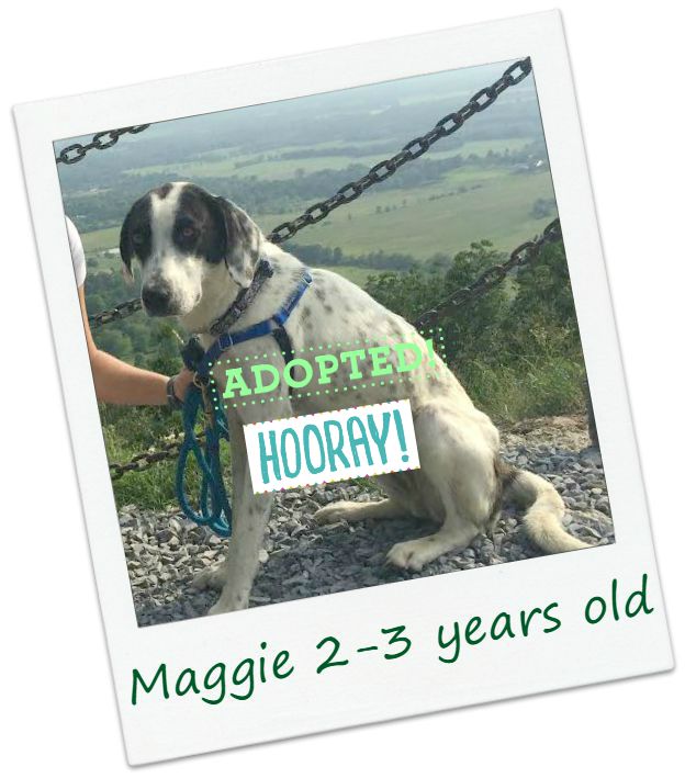 Maggie_adopted.jpg