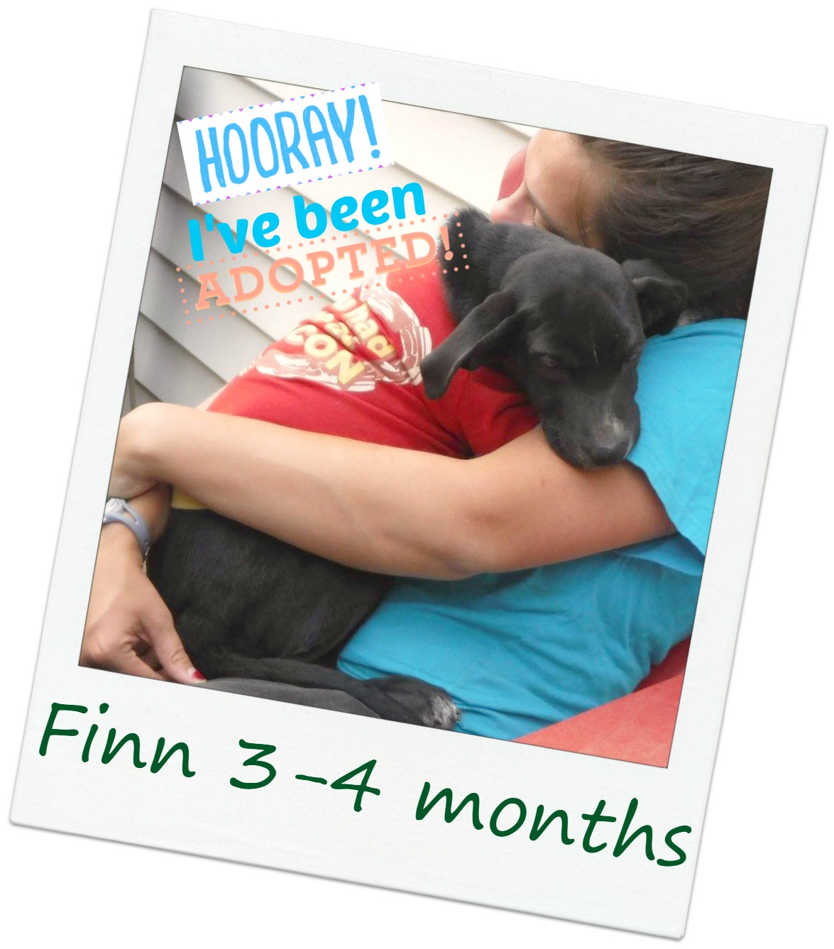 VickSDFINNadopt.jpg