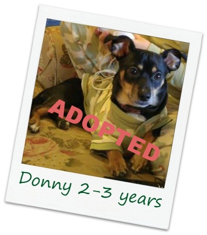 Donny10_cover.jpg
