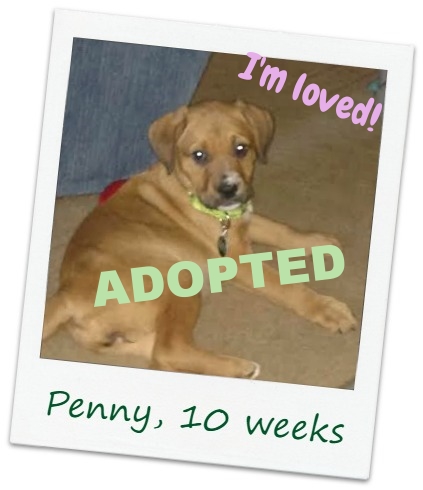 Penny_cover2.jpg