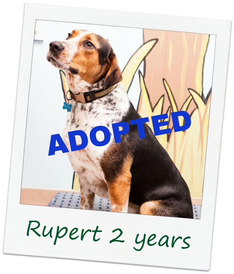 rupert_Cover.jpg