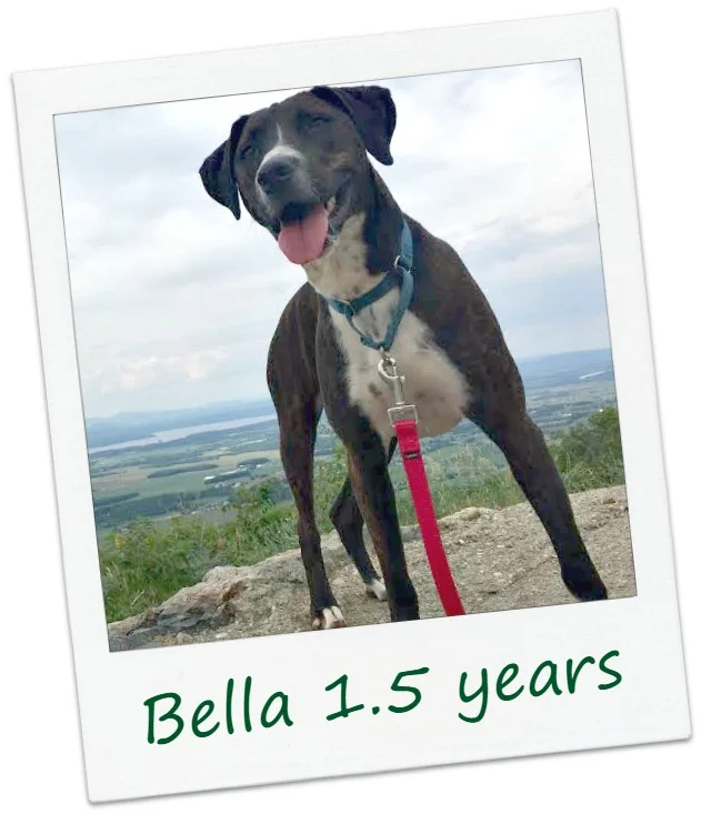 bella25_Cover.jpg