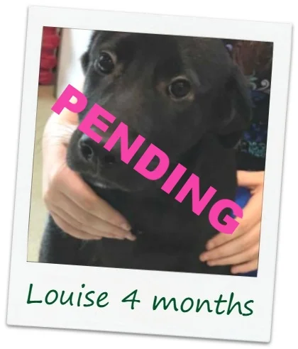 Louise2_Cover.jpg