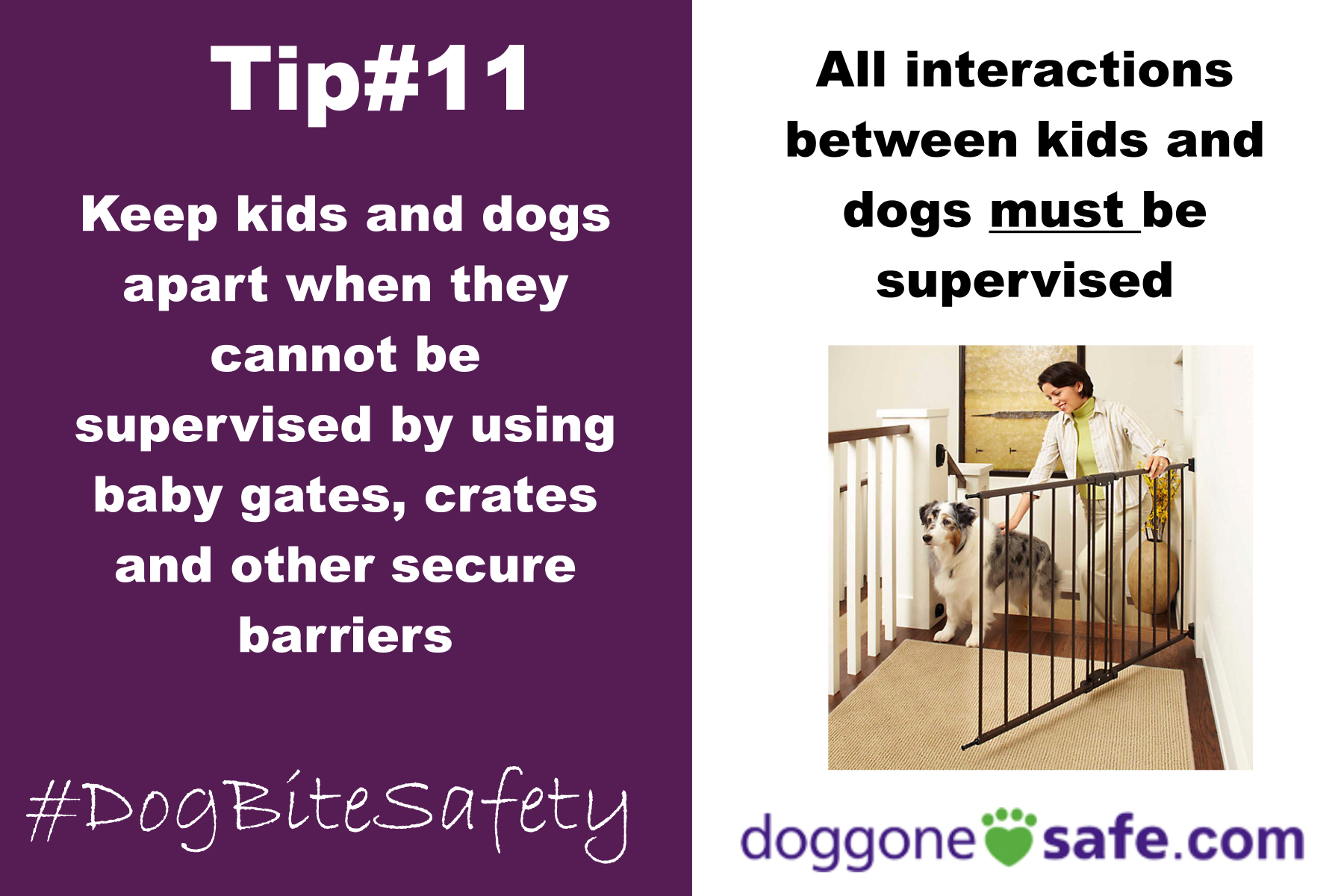 bitesafety.png