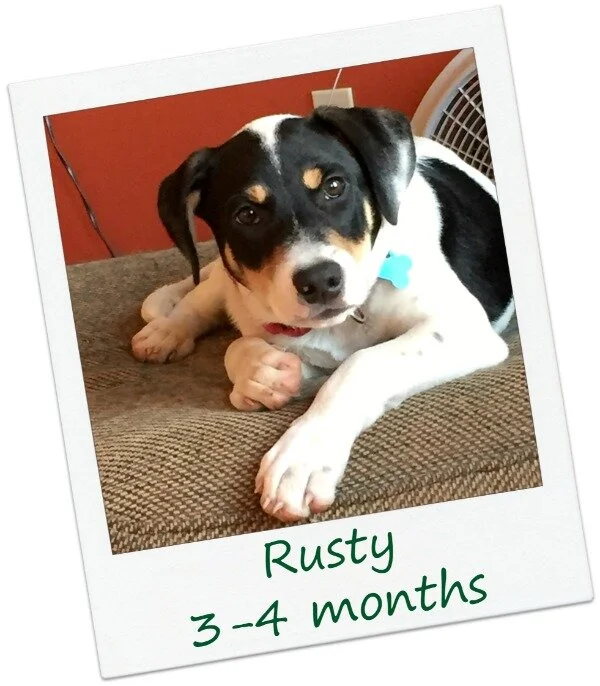 Rusty22_Cover.jpg