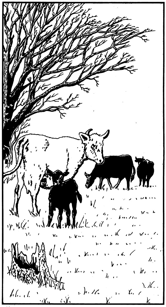 Chapter 13 - To spare poor Josh the torment of his presence, Tim was sent a half mile north of town to cut wood by himself...