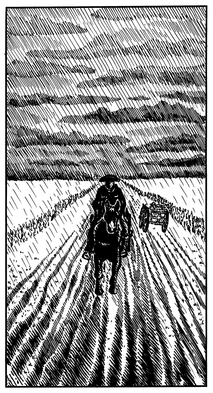 Chapter 25 - In the distance, Sadie saw a man riding into town on a black horse. A handsome stranger? she thought, as a...