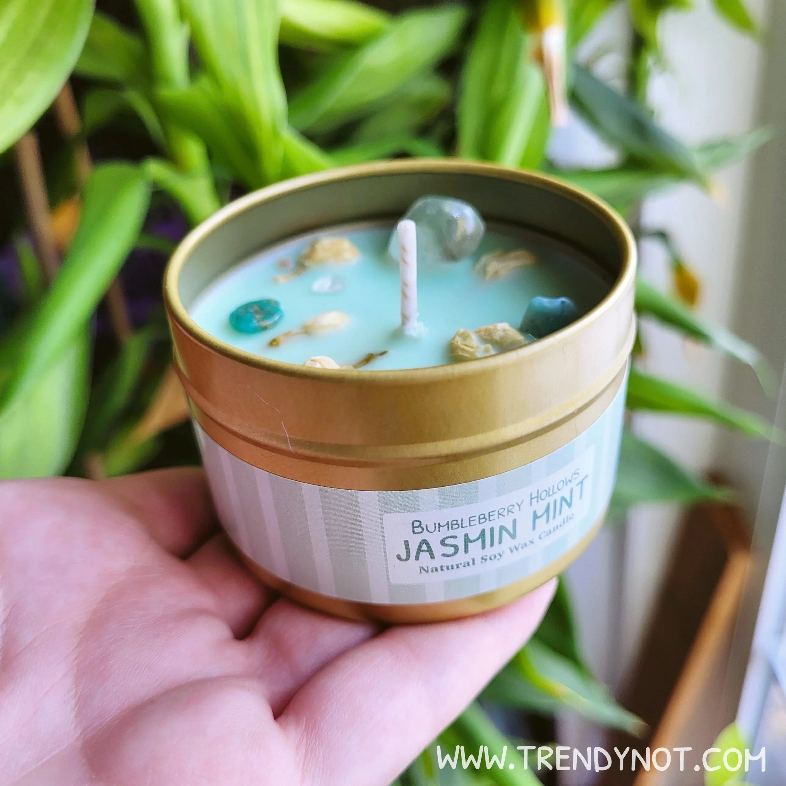 Bao's Jasmin Mint Candle — Trendy Not