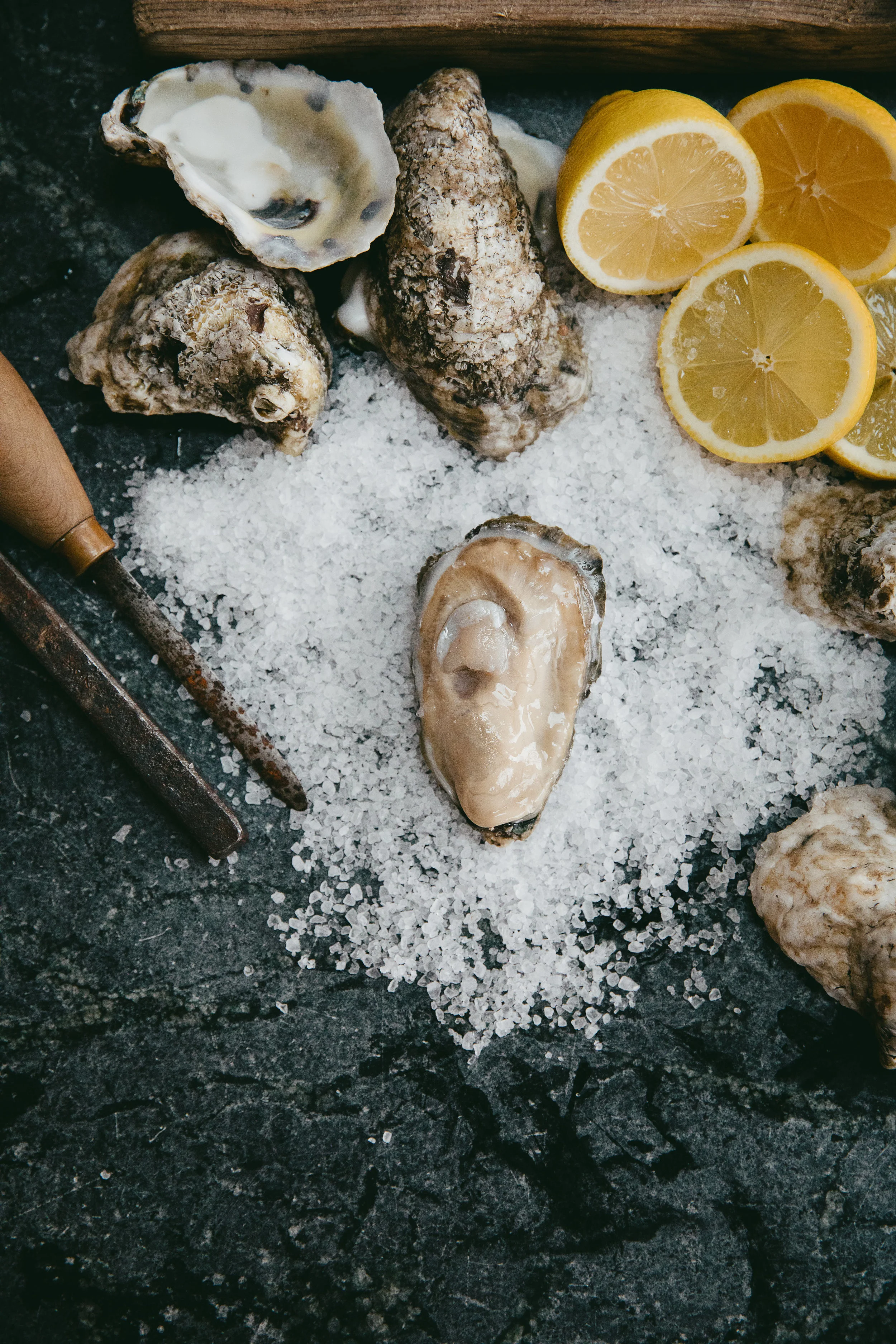 JAMcCownShucking-228-Edit.jpg
