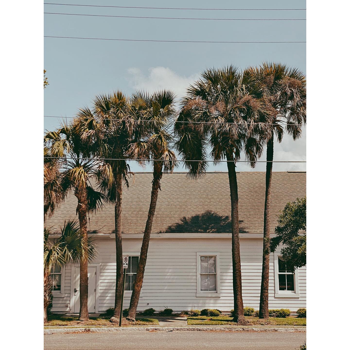 I really wish I could have palm trees surrounding me everyday. This is why I go to Charleston every year. 

#charlestonsc #palmtrees #travel