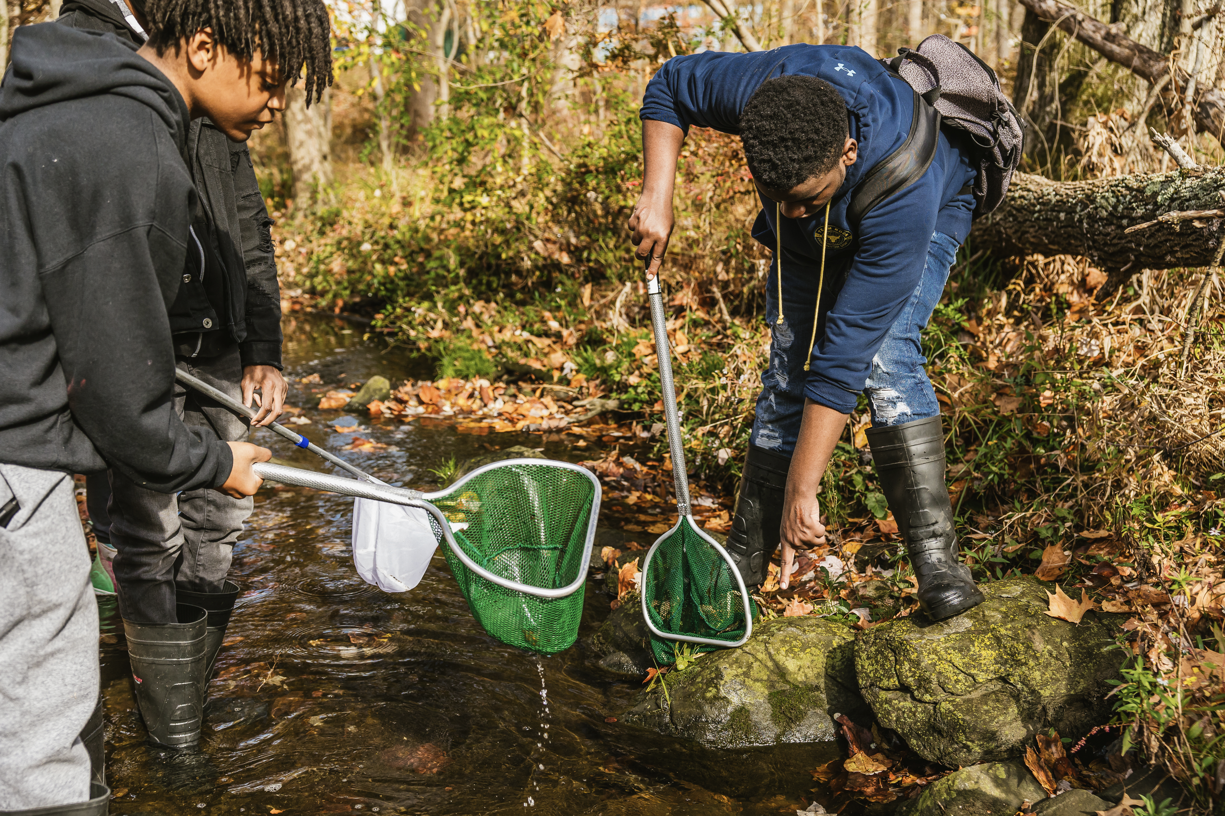 Screen Shot 2023-06-26 at 4.52.13 PM.png